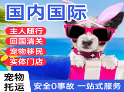 敦煌空运公司国际宠物托运 【国
